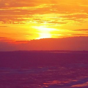 Meet your Posher, Jackson